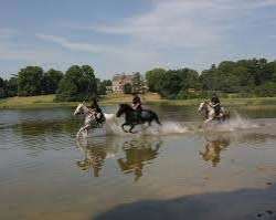 It has many amenities to offer for the comfort and It has many amenities to offer for the comfort and entertainment of the guests including pike fishing, walking trails, archery, horse riding, clay tar